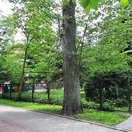 Mieszkanie W Centrum Przy Promenadzie I Jeziorze Stare Miasto!!! Parking ! Lejlighed Mrągowo