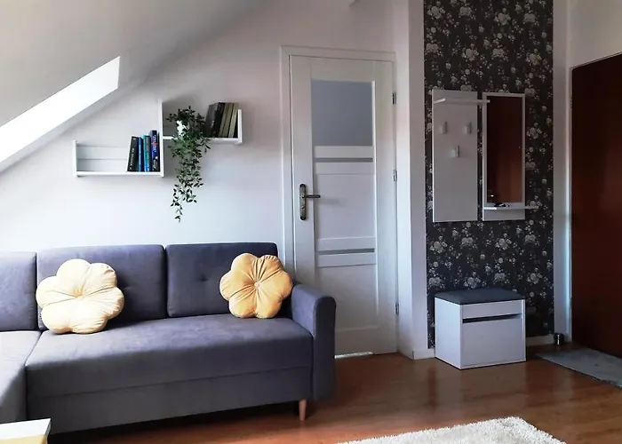 Mieszkanie W Centrum Przy Promenadzie I Jeziorze Stare Miasto!!! Parking ! Apartment