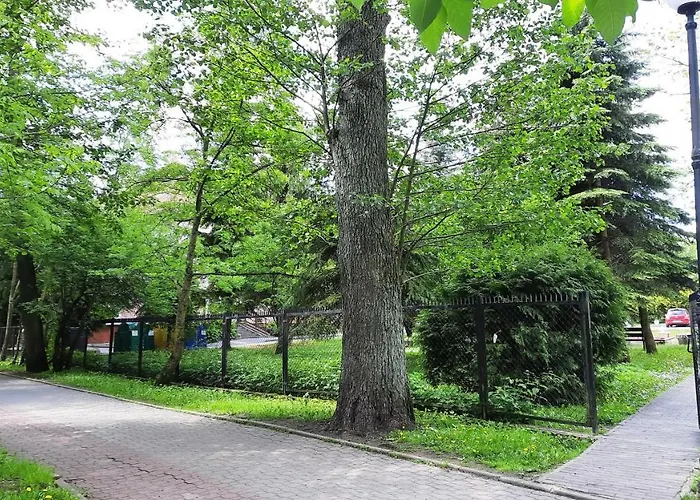 Mieszkanie W Centrum Przy Promenadzie I Jeziorze Stare Miasto!!! Parking ! Apartment Mragowo